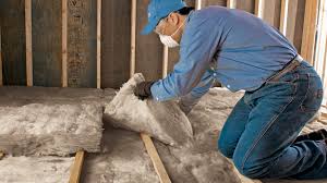 Best Wall Insulation Installation  in Brewerton, NY